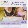 Curso Introducción a la AICP (Teleformación) -20 horas